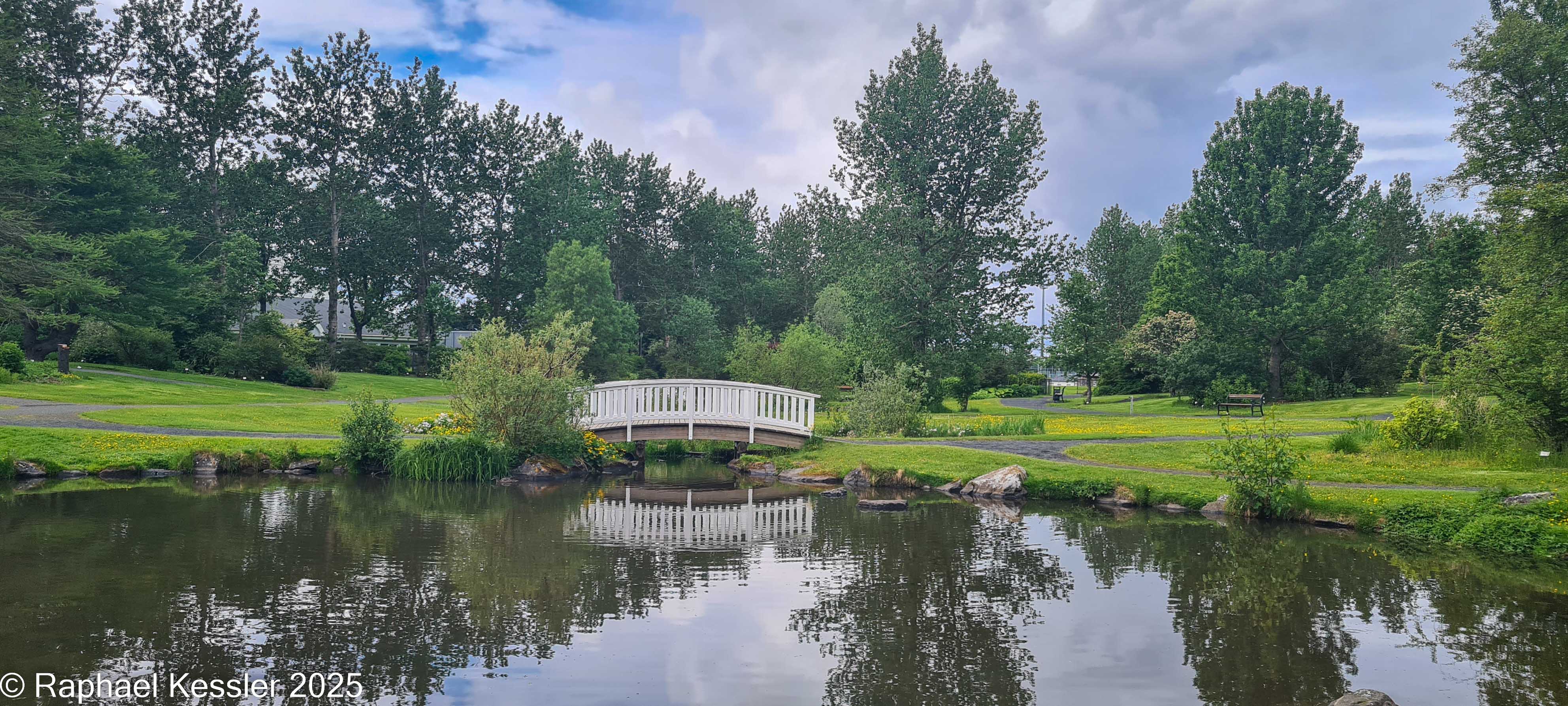 © Copyright Raphael Kessler 2025 – Iceland – Reykjavik Botanical Gardens 2