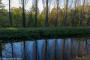 (c) Raphael Kessler 2014 - Cambridgeshire - Anglesey Abbey grounds 