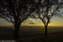 © Copyright - Raphael Kessler 2015 - England - Dunstable Downs 15