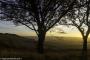 © Copyright - Raphael Kessler 2015 - England - Dunstable Downs 18