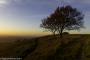 © Copyright - Raphael Kessler 2015 - England - Dunstable Downs 19