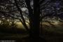 © Copyright - Raphael Kessler 2015 - England - Dunstable Downs 1