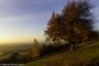 © Copyright - Raphael Kessler 2015 - England - Dunstable Downs 2