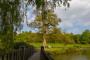 (c) Copyright - Raphael Kessler 2013 - England - Chartwell - A place of repose