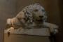 © Copyright - Raphael Kessler 2013 - England - Chatsworth - Lion confused