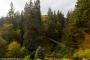 © Copyright - Raphael Kessler 2015 - England - Cragside - view to the iron bridge