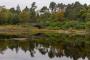 © Copyright - Raphael Kessler 2015 - England - Cragside - trees reflecting