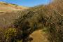 © Copyright - Raphael Kessler 2013 - England - Lulworth Cove - 