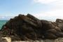 © Copyright - Raphael Kessler 2013 - England - Lulworth Cove - Fossil forest