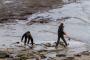 © Copyright - Raphael Kessler 2013 - England - Lyme Regis - Kids digging