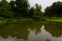 © Copyright - Raphael Kessler 2014 - England - Dyrham Park pond reflections