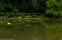 © Copyright - Raphael Kessler 2014 - England - Dyrham Park pond