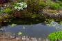 (c) Copyright - Raphael Kessler 2013 - England - Emmetts Garden - pond