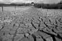 (c) Copyright - Raphael Kessler 2012 - England - Hertford - Cracked mud 