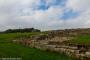 © Copyright - Raphael Kessler 2015 - England - Housesteads Vercovicium - Hadrian's Wall