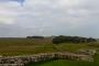 © Copyright - Raphael Kessler 2015 - England - Housesteads Vercovicium - Hadrian's Wall