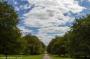 © Copyright - Raphael Kessler 2014 - England - Lanhydrock driveway