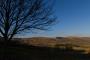 (c) Copyright - Raphael Kessler 2013 - England - Castleton - Tree and view