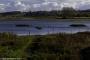 © Copyright - Raphael Kessler 2015 - England - Rutland Water 1