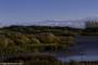 © Copyright - Raphael Kessler 2015 - England - Rutland Water 2