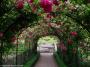 © Copyright - Raphael Kessler 2014 - England - Tyntesfield - archway