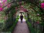 © Copyright - Raphael Kessler 2014 - England - Tyntesfield - arch & Mel