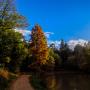 © Copyright - Raphael Kessler 2013 - England - Wakehurst Place