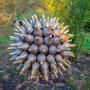 © Copyright - Raphael Kessler 2013 - England - Wakehurst Place - Spore sculpture