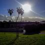 © Copyright - Raphael Kessler 2013 - England - Wakehurst Place - Seed sculptures and gate