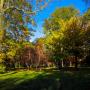 © Copyright - Raphael Kessler 2013 - England - Wakehurst Place