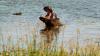 (c) Copyright - Raphael Kessler 2011 - Botswana - Okavango Delta - Hippo hello