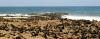 (c) Copyright - Raphael Kessler 2011 - Namibia - Cape cross seal colony