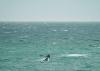 (c) Copyright - Raphael Kessler 2011 - South Africa - De Kelders - Southern right whale breaching