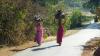 (c) Copyright - Raphael Kessler 2011 - India - Chittogarh - Indian ladies carrying their wares on their head