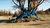 (c) Copyright - Raphael Kessler 2011 - Mongolia - Tree with blue prayer flags