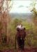 (c) Copyright - Raphael Kessler 2011 - Thailand - Going through the rainforest on an elephant