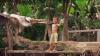 (c) Copyright - Raphael Kessler 2011 - Vietnam - Mekong Delta young boy waving at the side of the river