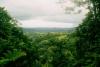 (c) Copyright - Raphael Kessler 2011 - Costa Rica - Corcovado National Park Forest view