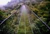 (c) Copyright - Raphael Kessler 2011 - Costa Rica - Montaverde - Wire see through bridge