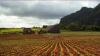 (c) Copyright - Raphael Kessler 2011 - Cuba - Tilling the soil