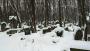 (c) Copyright - Raphael Kessler 2011 - Poland - Warsaw - Jewish Cemetary