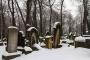 (c) Copyright - Raphael Kessler 2013 - Poland - Krakow - Jewish Cemetary