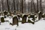 (c) Copyright - Raphael Kessler 2013 - Poland - Krakow - Jewish Cemetary