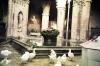 (c) Copyright - Raphael Kessler 2011 - Spain - Madrid - ducks in church