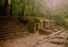 (c) Copyright - Raphael Kessler 2011 - Mexico - Palenque unrestored temples