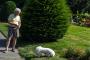 (c) Copyright - Raphael Kessler 2013 - USA - Boston - Man & Dog with same hairstyle