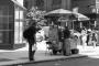 (c) Copyright - Raphael Kessler 2013 - USA - New York - Hot dog vendor