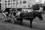 (c) Copyright - Raphael Kessler 2013 - USA - New York - Horse & buggy