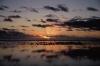 (c) Copyright - Raphael Kessler 2011 - Cook Islands - Rarotonga - Sunset on the beach whilst dogs go fishing