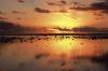 (c) Copyright - Raphael Kessler 2011 - Cook Islands - Rarotonga - Sunset on the beach whilst dogs go fishing